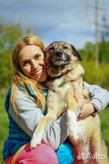 Подари Мире дом и любовь