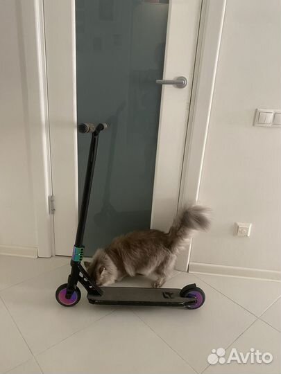 Трюковой самокат Reaction