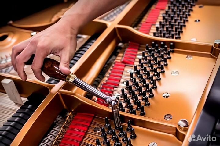 Настройка пианино, рояля