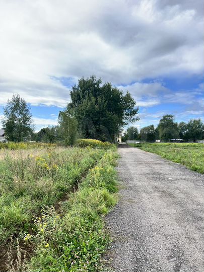 Участок 10 сот. (ИЖС)