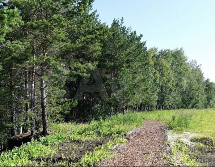 Участок 6,1 сот. (ИЖС)