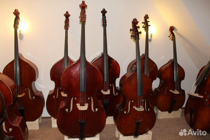 Прокат музыкальных инструментов