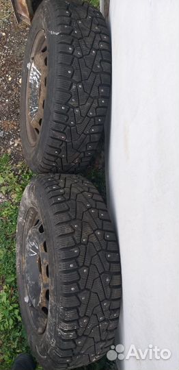 Pirelli Ice Zero 195/65 R15