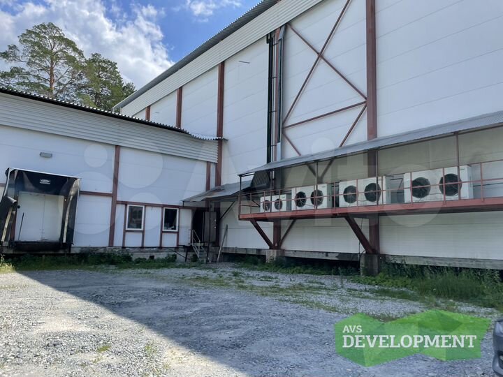 Морозильный склад 1368 м², стеллажи, погрузчики