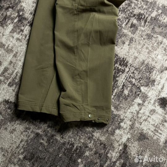 Треккинговые штаны The North Face Winter Regular