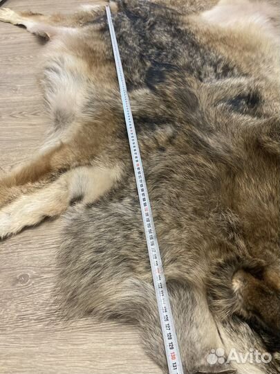 Шкура волка