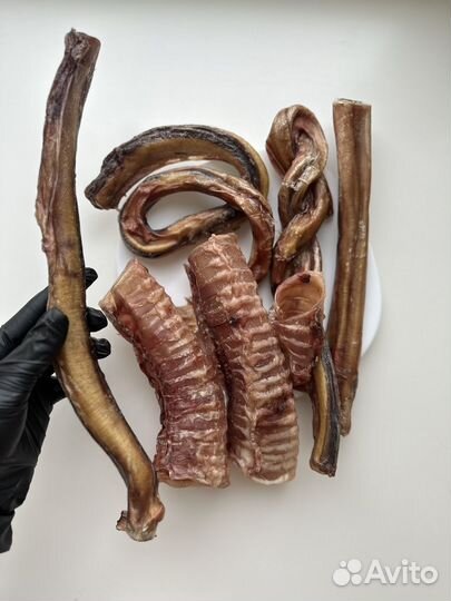 Дрессировка, кинолог с выездом, лакомства