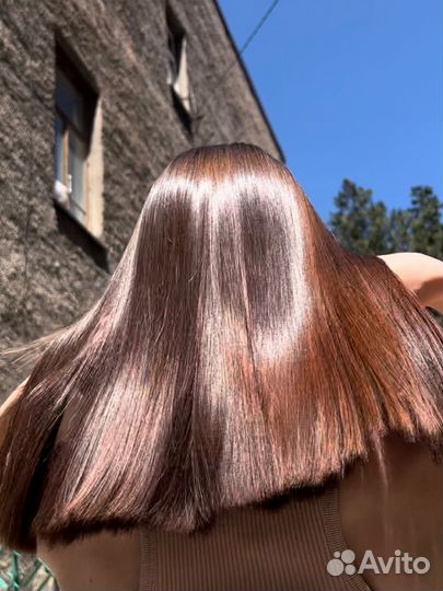 Модель на процедуры