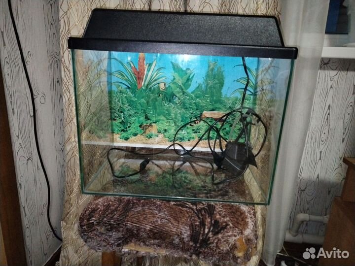 Аквариум