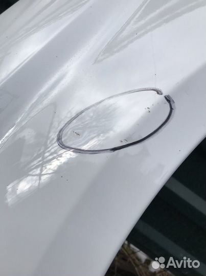 Правое Крыло Веста