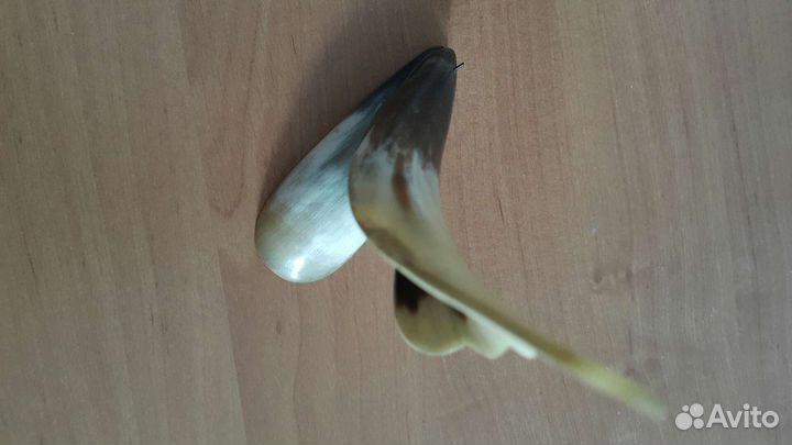 Изделие из рога