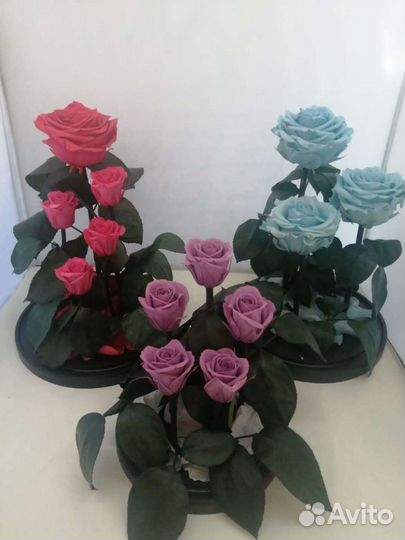 Роза в колбе в розницу и оптом