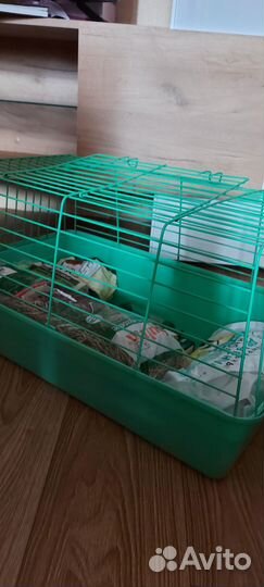 Клетка для морской свинки бу