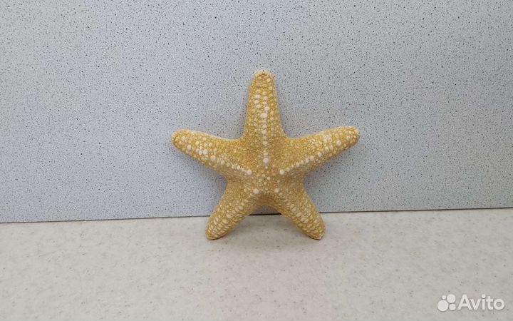 Звезда Филиппинская 11,1 морской сувенир подарок