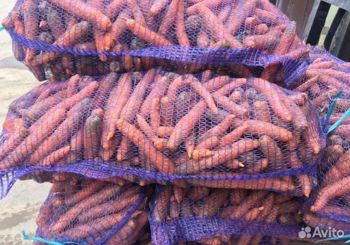 Овощи оптом