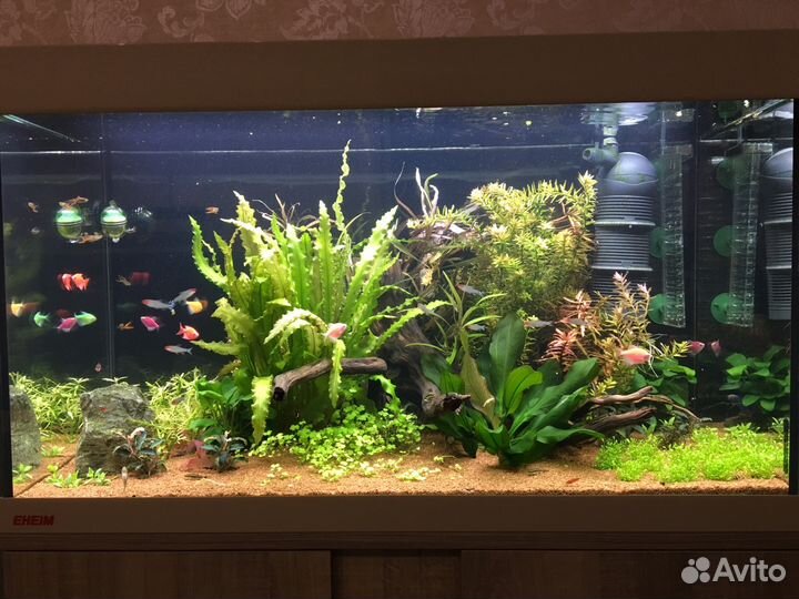 Чистка аквариума