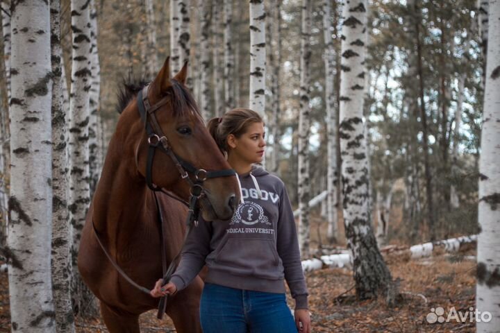 Конные прогулки, обучение верховой езде, походы