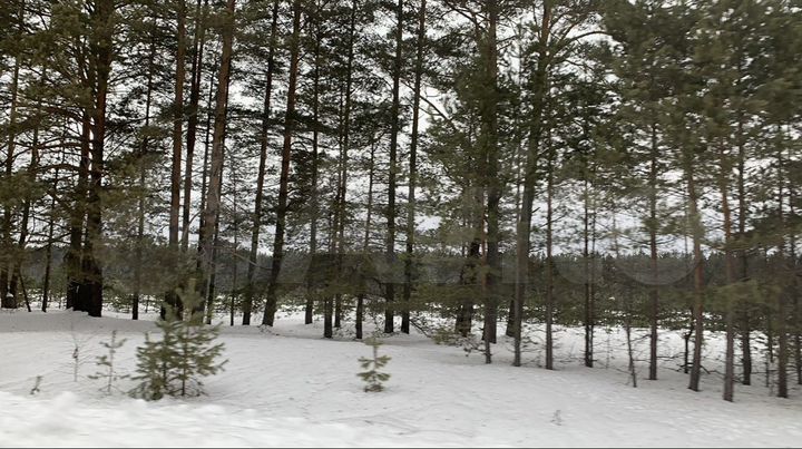 Участок 100 сот. (СНТ, ДНП)