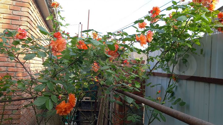 Дача 39 м² на участке 3,9 сот.