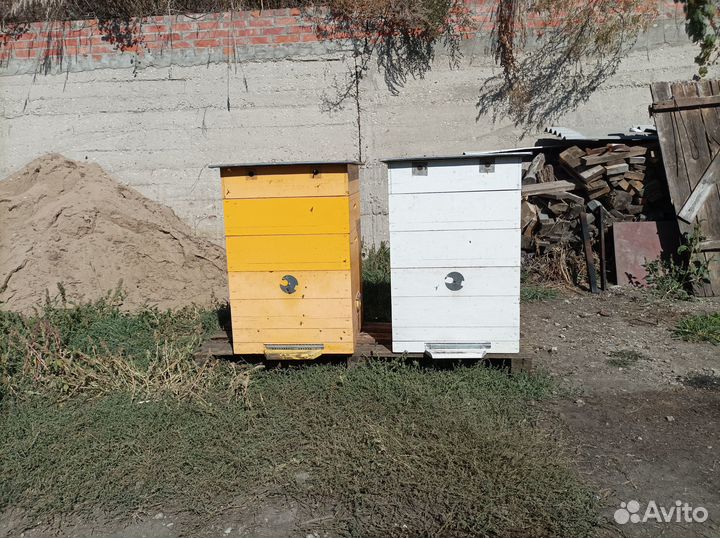 Продаю ульи дадан