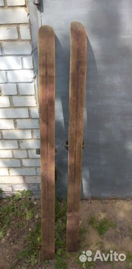 Лыжи охотничьи