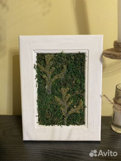 Рамка из мха