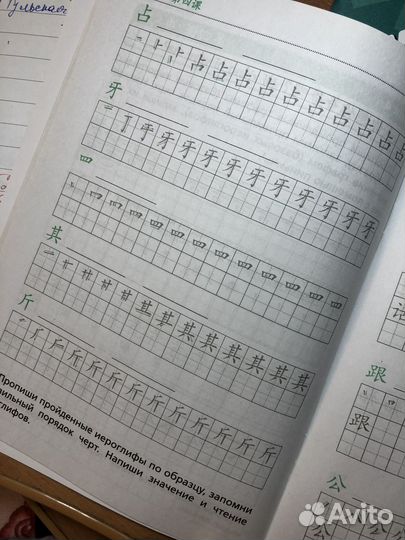 Рукодельникова 6 класс