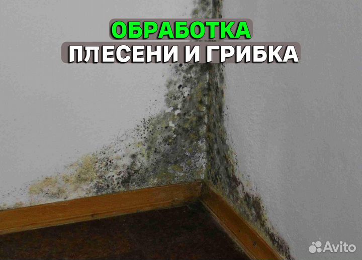 Дезинфекция уничтожение тараканов клопов