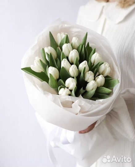 Тюльпаны белые благородные Голландия