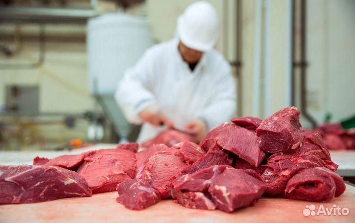 Рабочий на производство/Воронеж/ вахта