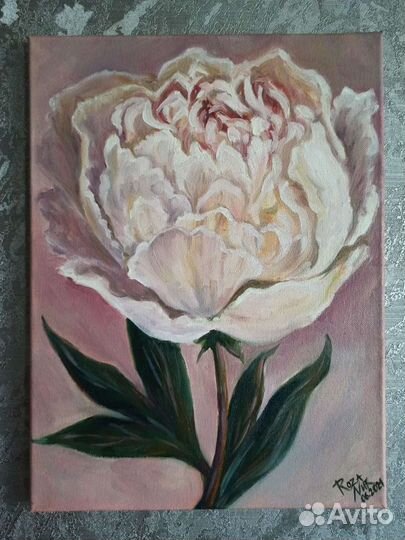 Пион. Картина маслом на холсте