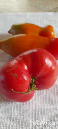 Сок яблочный