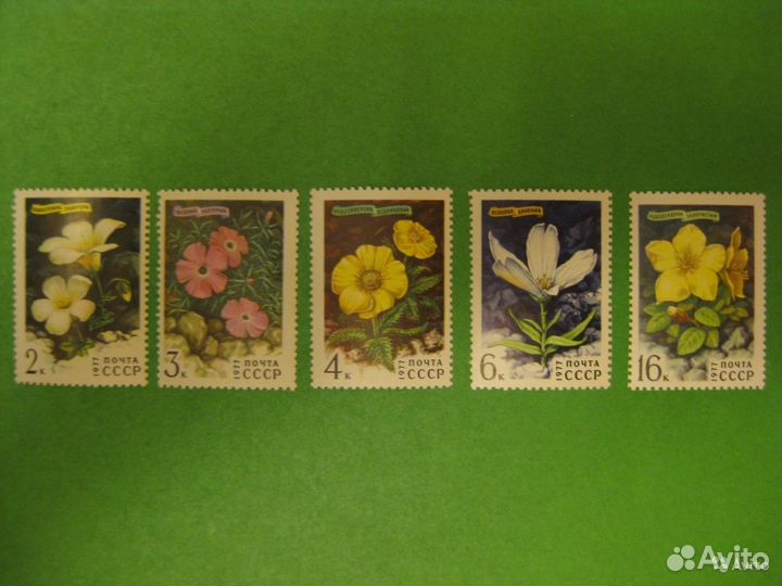 Марки почтовые чистые СССР (лот 16)