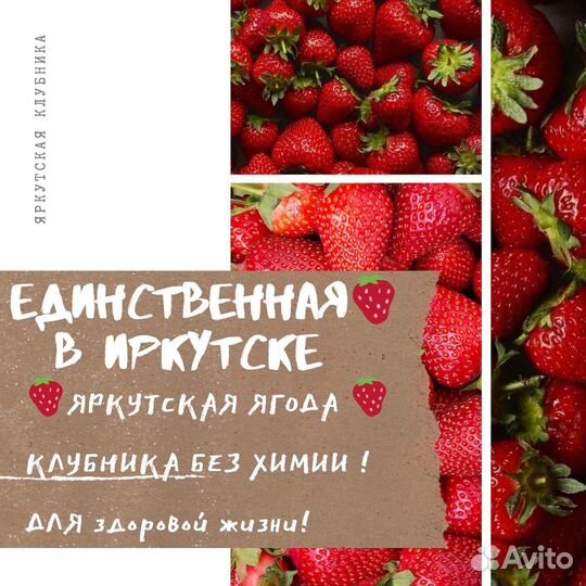 Свежая яркутская Клубника