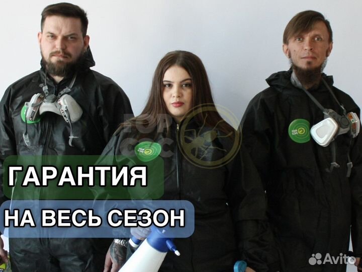 Обработка участков от клещей, кротов, шершней