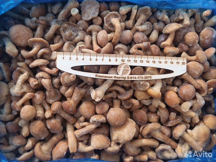 Опята намеко