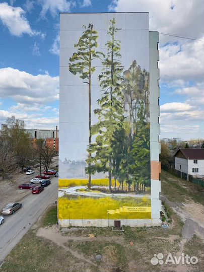 Оформление фасадов