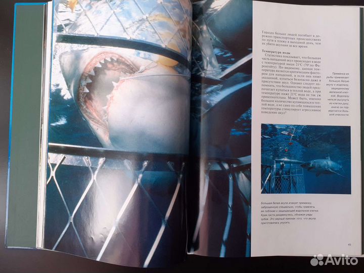 Книги про акул