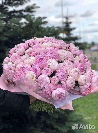 Пионы Цветы Доставка
