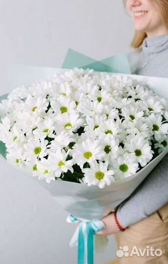 Хризантема