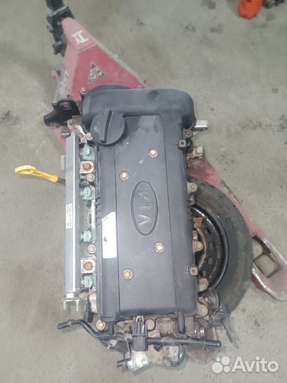 Двигатель G4FC 1600 kia Rio 3