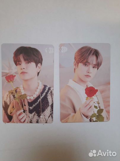 Карты stray kids