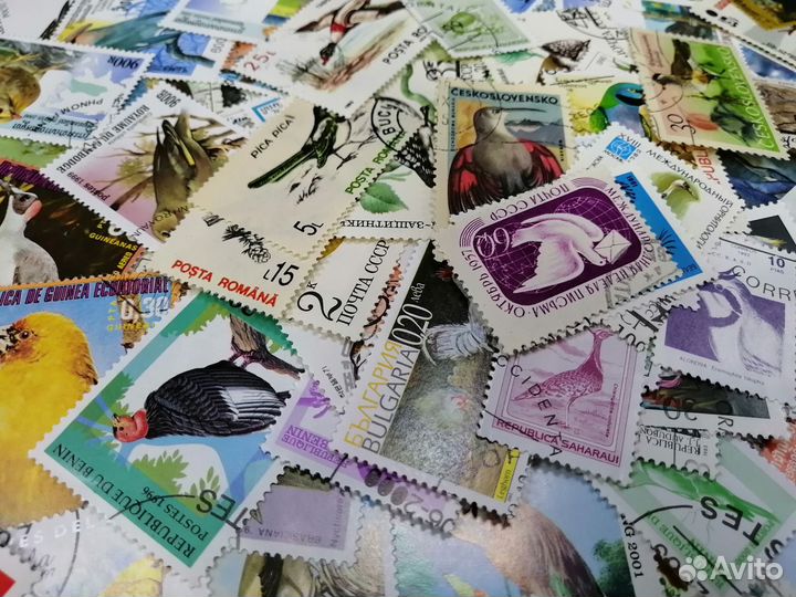 Набор 200 разных марок птицы