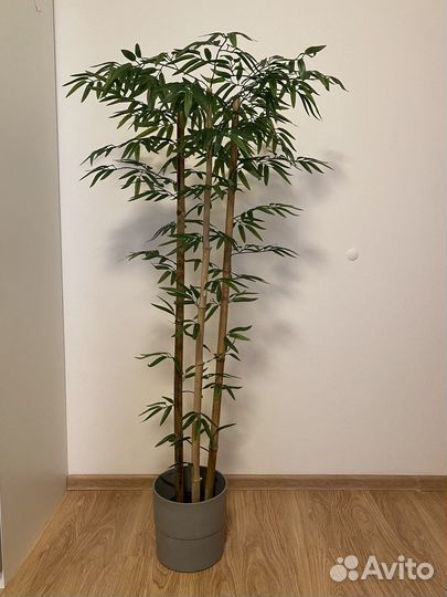 Искусственный бамбук