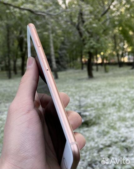 iPhone 8 Plus, 64 ГБ