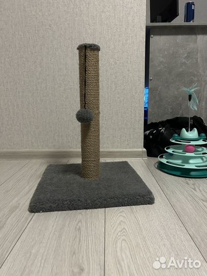 Когтеточка