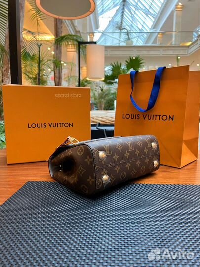 Сумка Louis Vuitton cluny