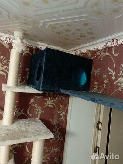 Кошкин дом когтеточка