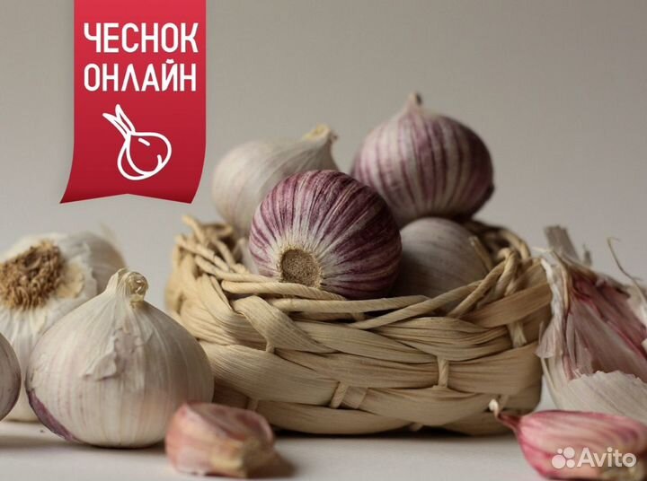 Чеснок. Семена