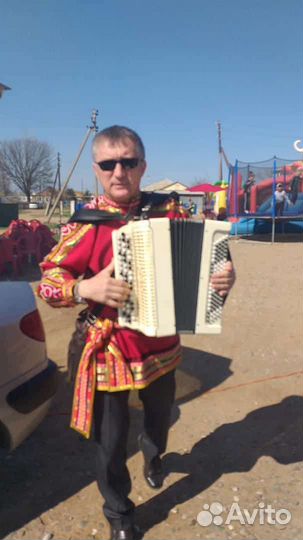 Баянист на праздник юбилей, свадьба